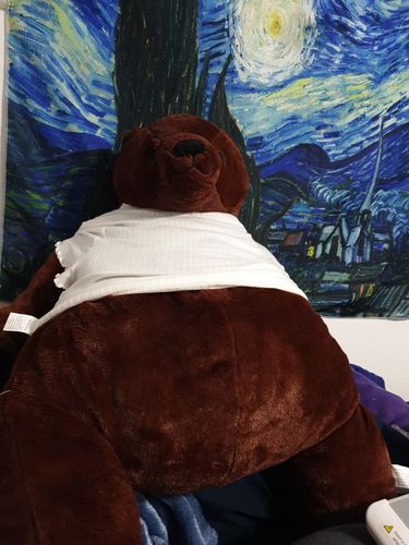 Customer photo review of SKOGGY BEAR