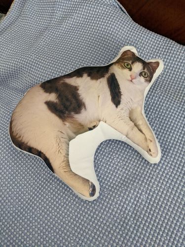Customer photo review of Create A Custom Cat Pillow
