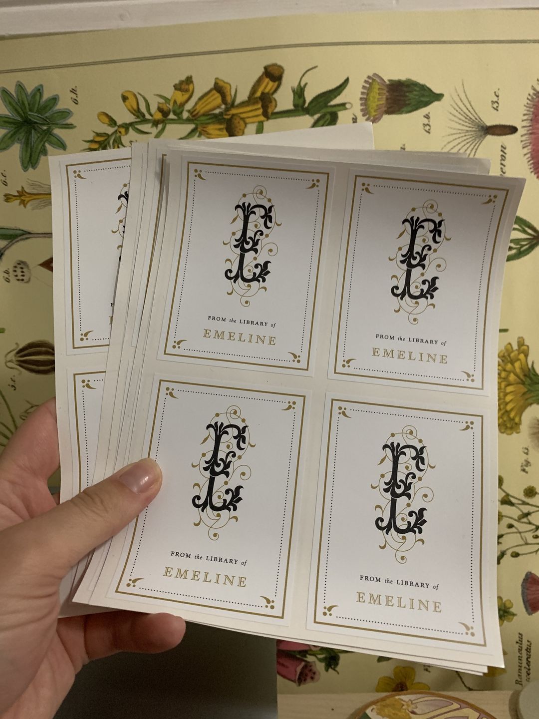 Customer photo review of Personalised Bookplates