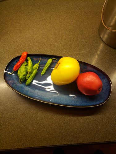 Customer photo review of Ocean Waves Deep Blue Serving Dish