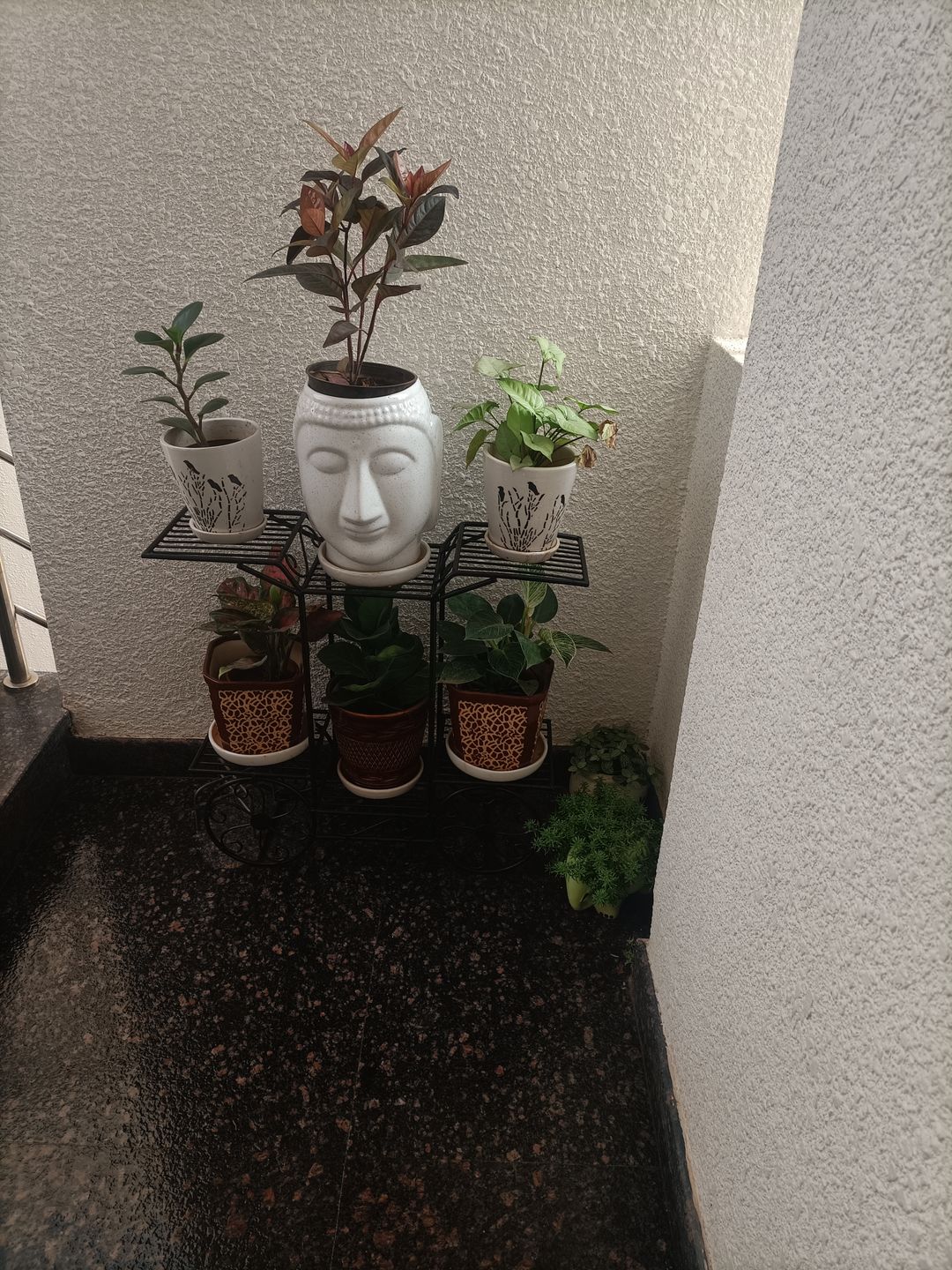 Customer photo review of 6-Tier Cart Planter Stand, Outdoor Flower Rack