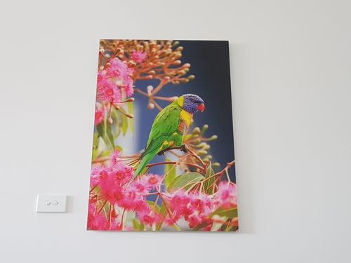 Customer photo review of Acrylic Mounting Panel - 60 x 90 cm