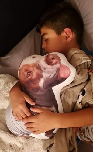 Customer photo review of Create A Custom Dog Pillow