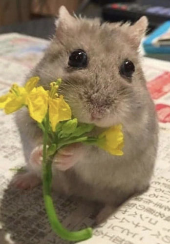 Customer photo review of “all praise the highest” pendant + necklace