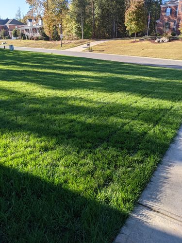 Customer photo review of N-Ext Soil Activator Pack