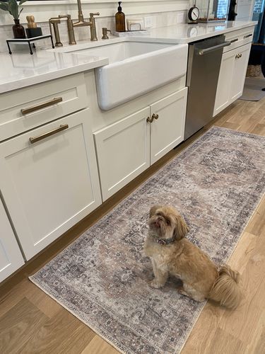 Customer photo review of Distressed Vintage Cezanne Blush Runner