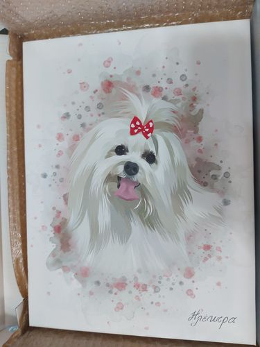 Customer photo review of Πορτραίτο Του Δικού Σας Κατοικίδιου - Ακουαρέλα