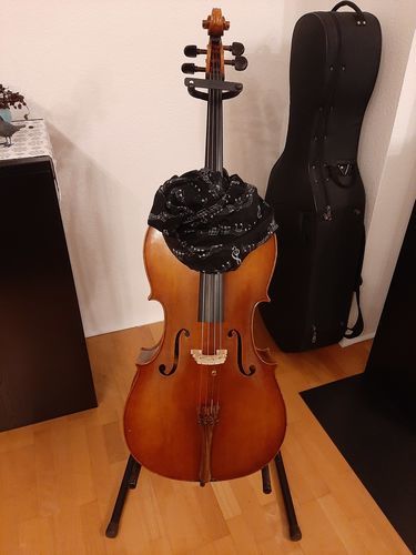 Customer photo review of Echarpe tube pour les musiciens