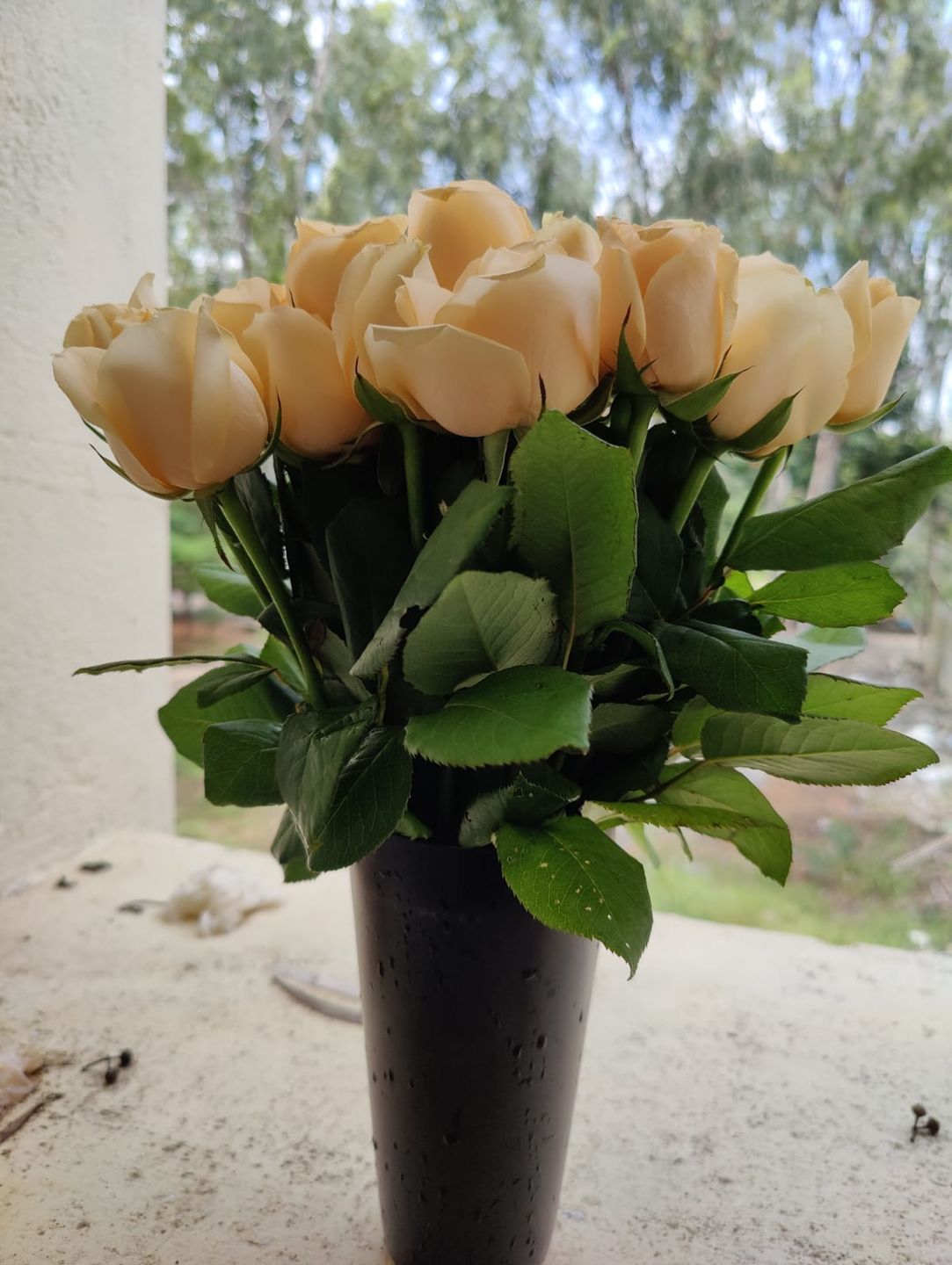 Customer photo review of Roses