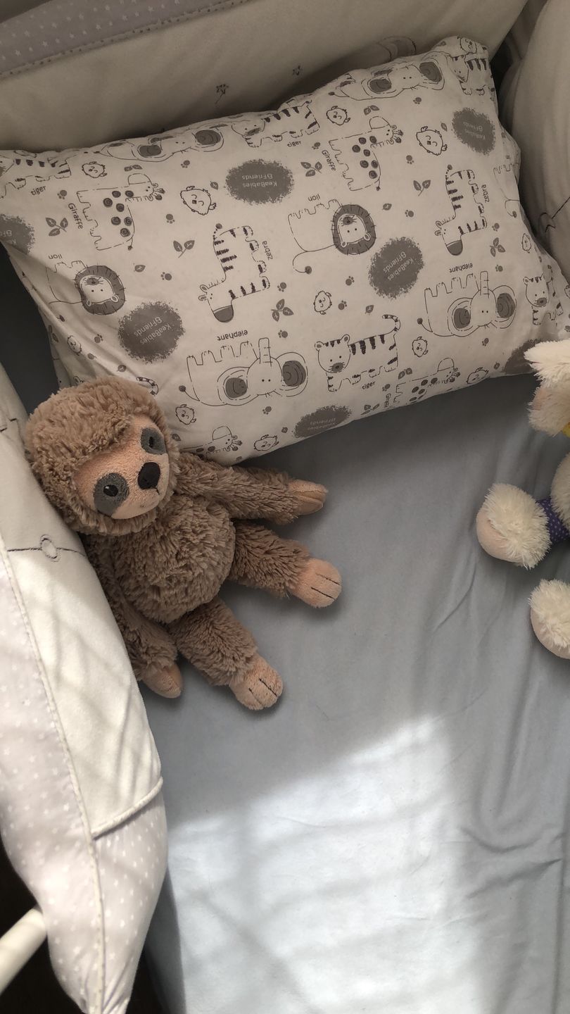 Customer photo review of Hypoallergenic Toddler Pillow with 100% Cotton Pillowcase
