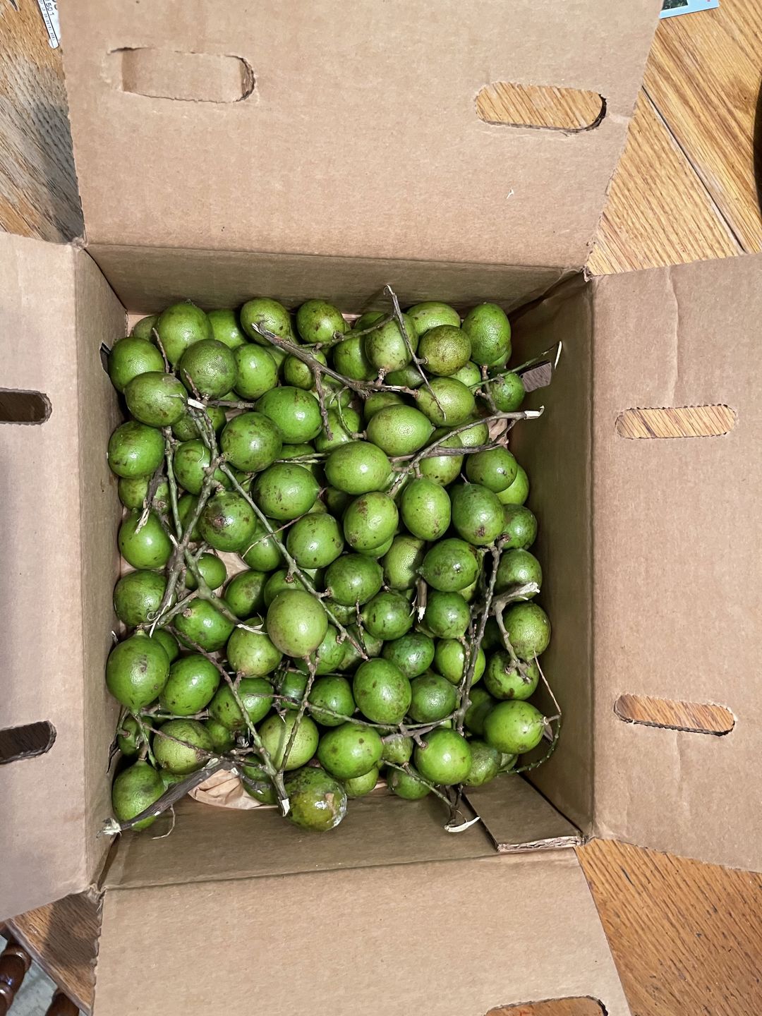 Customer photo review of Mamoncillo (Guinep) Box