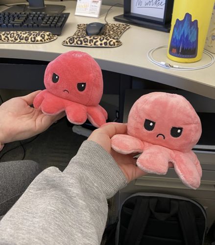 Customer photo review of Tintenfisch Kuscheltier 2 Gesichter