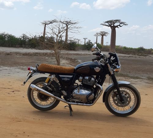 Customer photo review of Housse de Selle cuir Camel pour Royal Enfield
