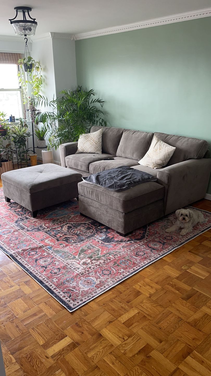Customer photo review of Distressed Vintage Kendra Area Rug