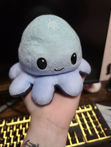 Customer photo review of Wende Kuscheltier Oktopus