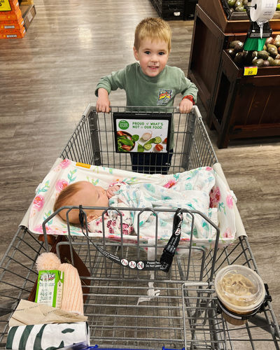 Customer photo review of Baby Shopping Cart Hammock - Full Bloom Watercolor Floral Print