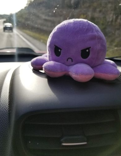 Customer photo review of Tintenfisch Kuscheltier 2 Gesichter