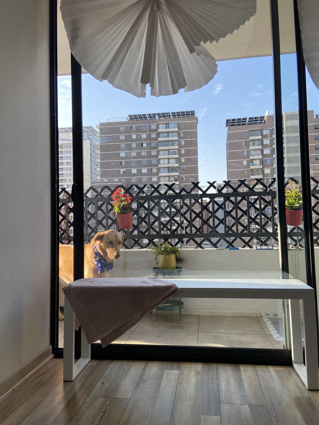 Customer photo review of Banca 120
