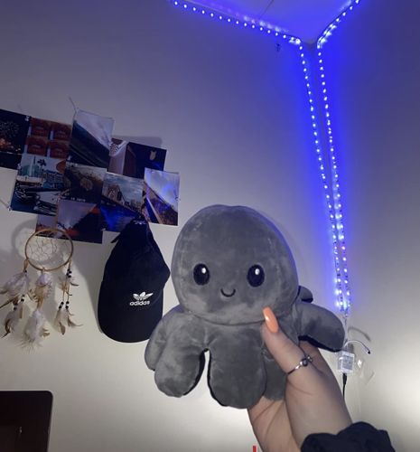 Customer photo review of Tintenfisch Kuscheltier 2 Gesichter