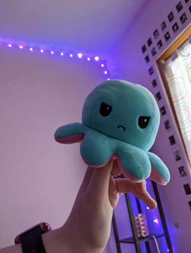 Customer photo review of Tintenfisch Kuscheltier umdrehen