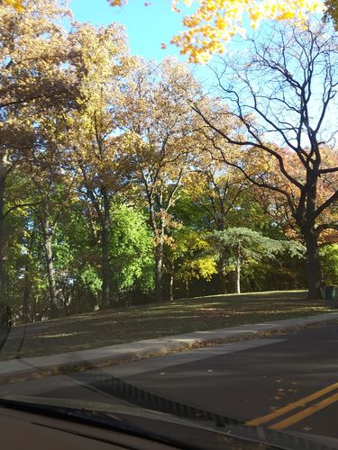 Customer photo review of Sapphire Pillar