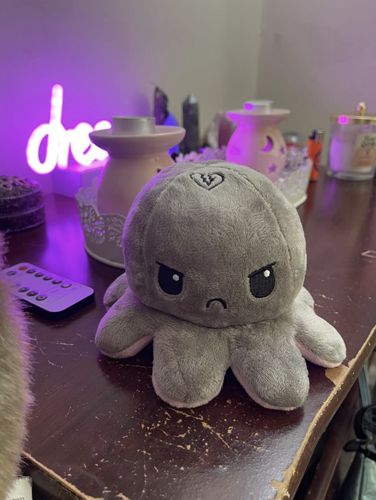 Customer photo review of Tintenfisch Kuscheltier umdrehen