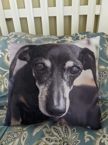 Customer photo review of Create A Custom Dog Pillow