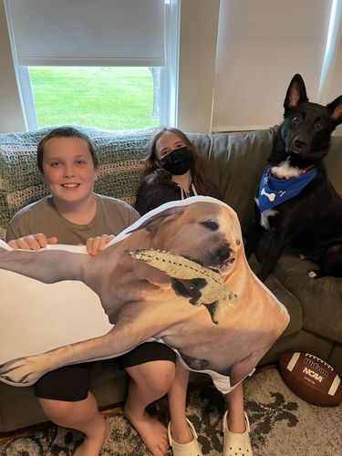 Customer photo review of Create A Custom Dog Pillow