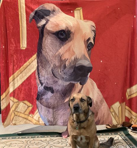Customer photo review of Custom Pet Fleece Blanket