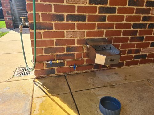 Customer photo review of Pet Rehydration Station