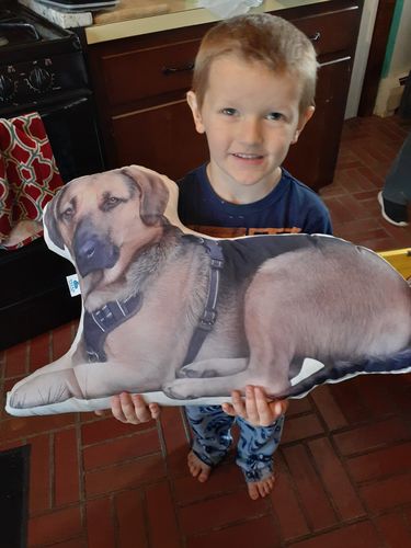 Customer photo review of Create A Custom Dog Pillow