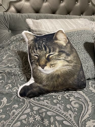 Customer photo review of Create A Custom Cat Pillow