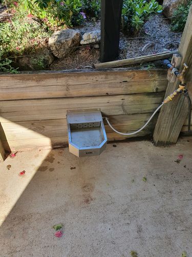 Customer photo review of Pet Rehydration Station