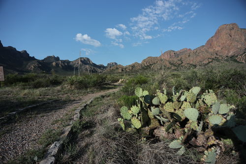 Customer photo review of Texas State Parks - Adventure Planning Journal