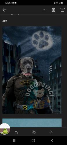 Customer photo review of 'Batdog' Personalized Pet Canvas