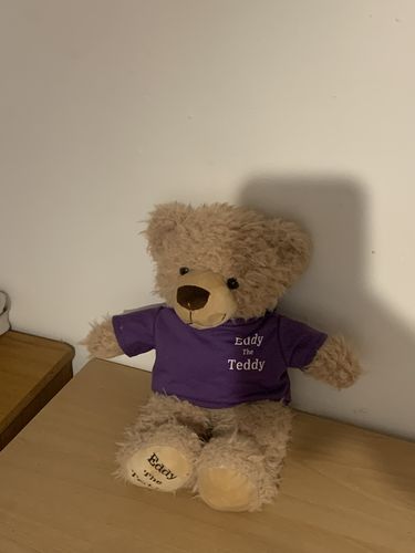 Customer photo review of Eddy The Teddy Bear