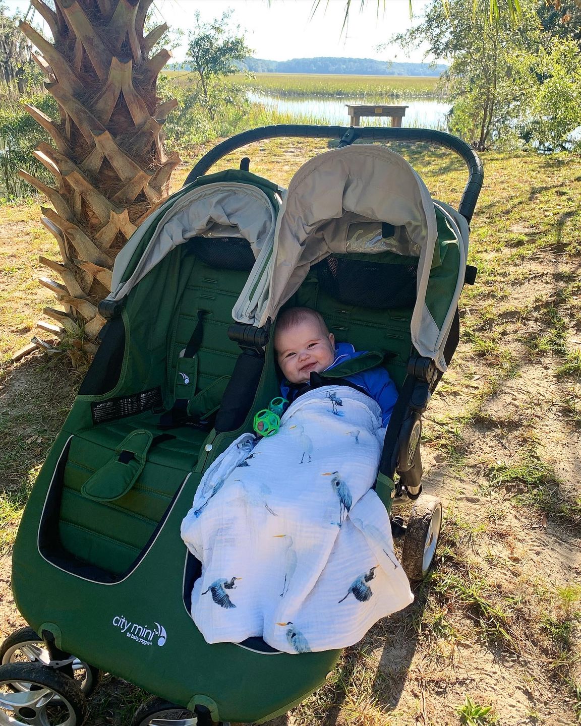 Customer photo review of Southern Storks