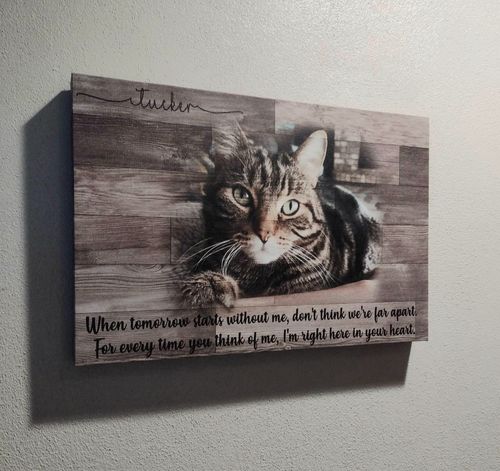 Customer photo review of Custom Dog Memorial Passing Gift Pet Loss Frame Portrait Photo Canvas When Tomorrow Starts Without Me