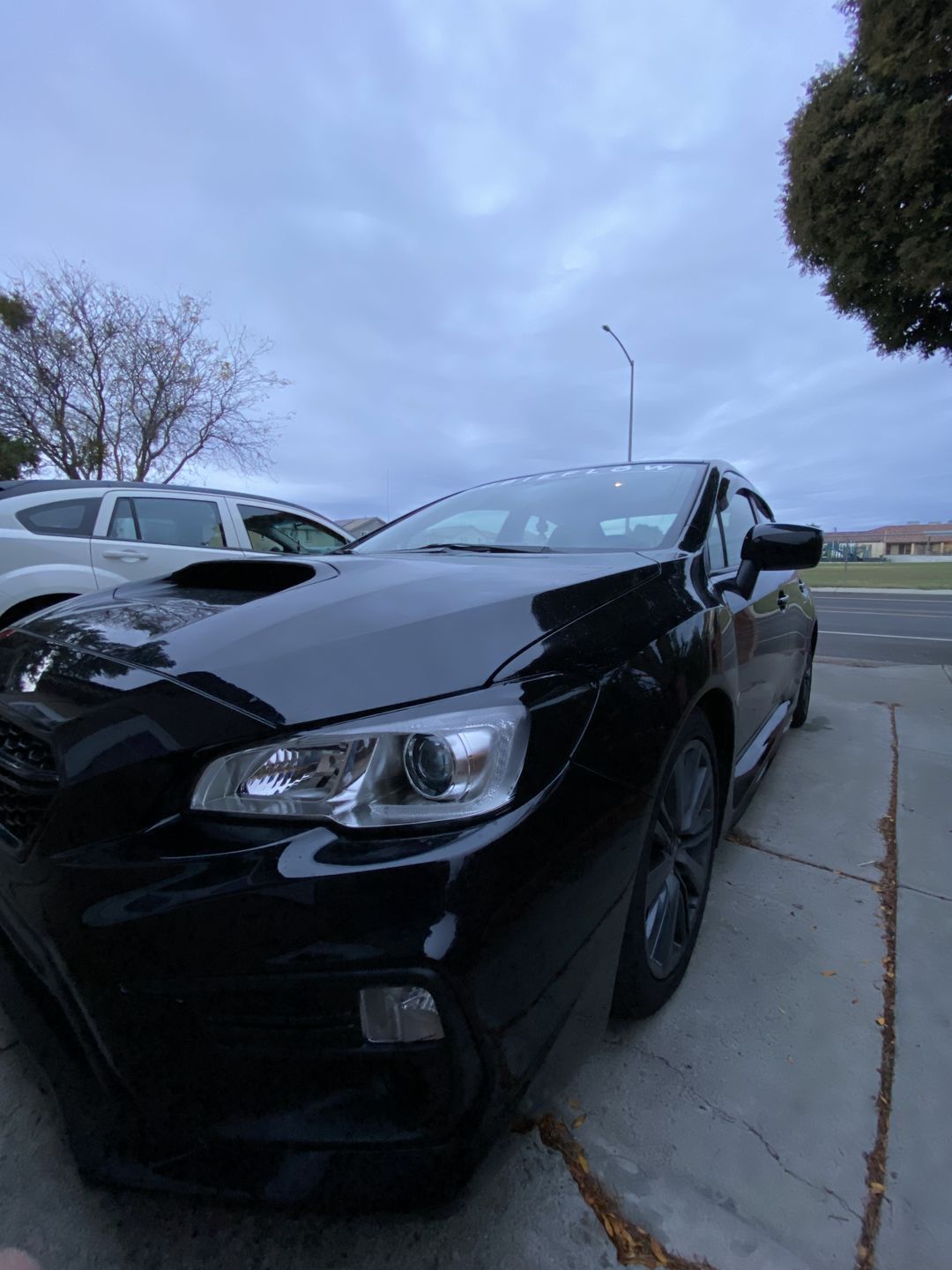 Customer photo review of Blackout Headlight Overlays