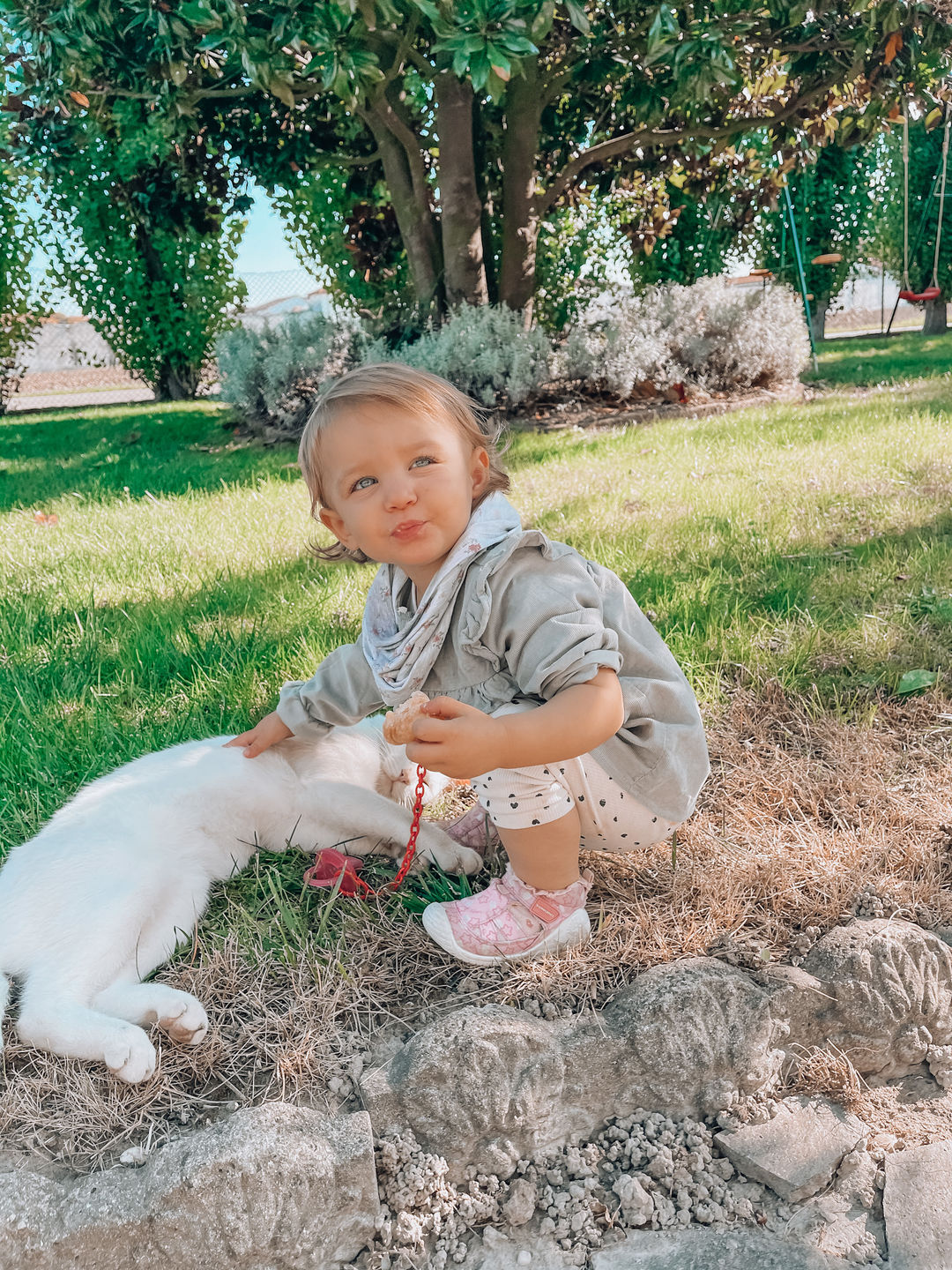 Customer photo review of CREAMY LIGHTROOM PRESETS