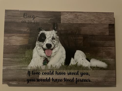 Customer photo review of Cat Memorial Personalized Cat Loss Gift Loss of Pet Cat Memorial Gift Cat Sympathy Gift Loss Of Cat Pet Gift Condolence Remembrance Gift