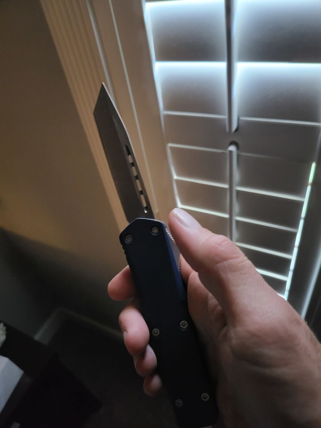 Customer photo review of Blue Phantom D/A OTF