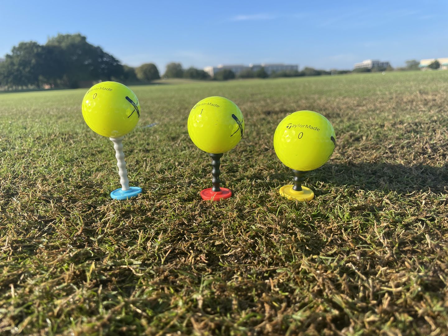 Customer photo review of Telos Premium Golf Tees