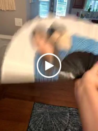 Customer video review of Custom Hand Fan