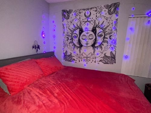 Customer photo review of Lush Bed Set