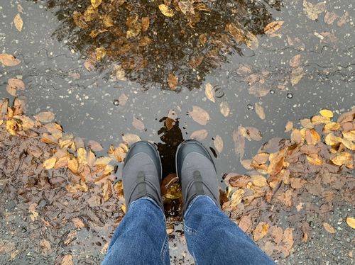 Customer photo review of The Pembrtn