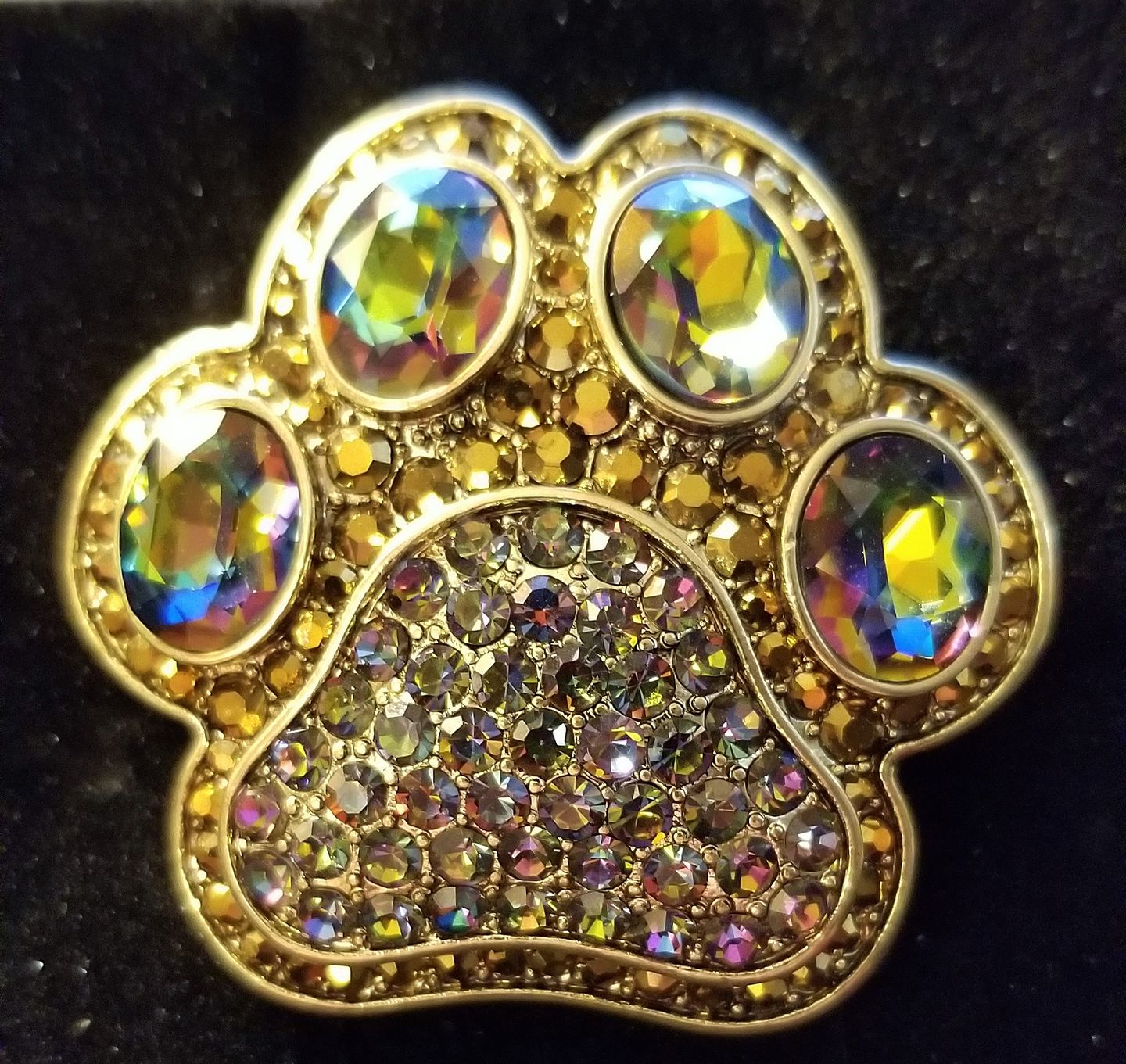 Customer photo review of HEIDI DAUS®"Pretty Paw Print" Crystal Paw Earring