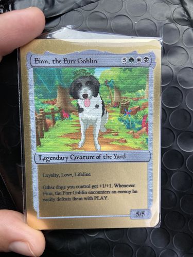 Customer photo review of Product options