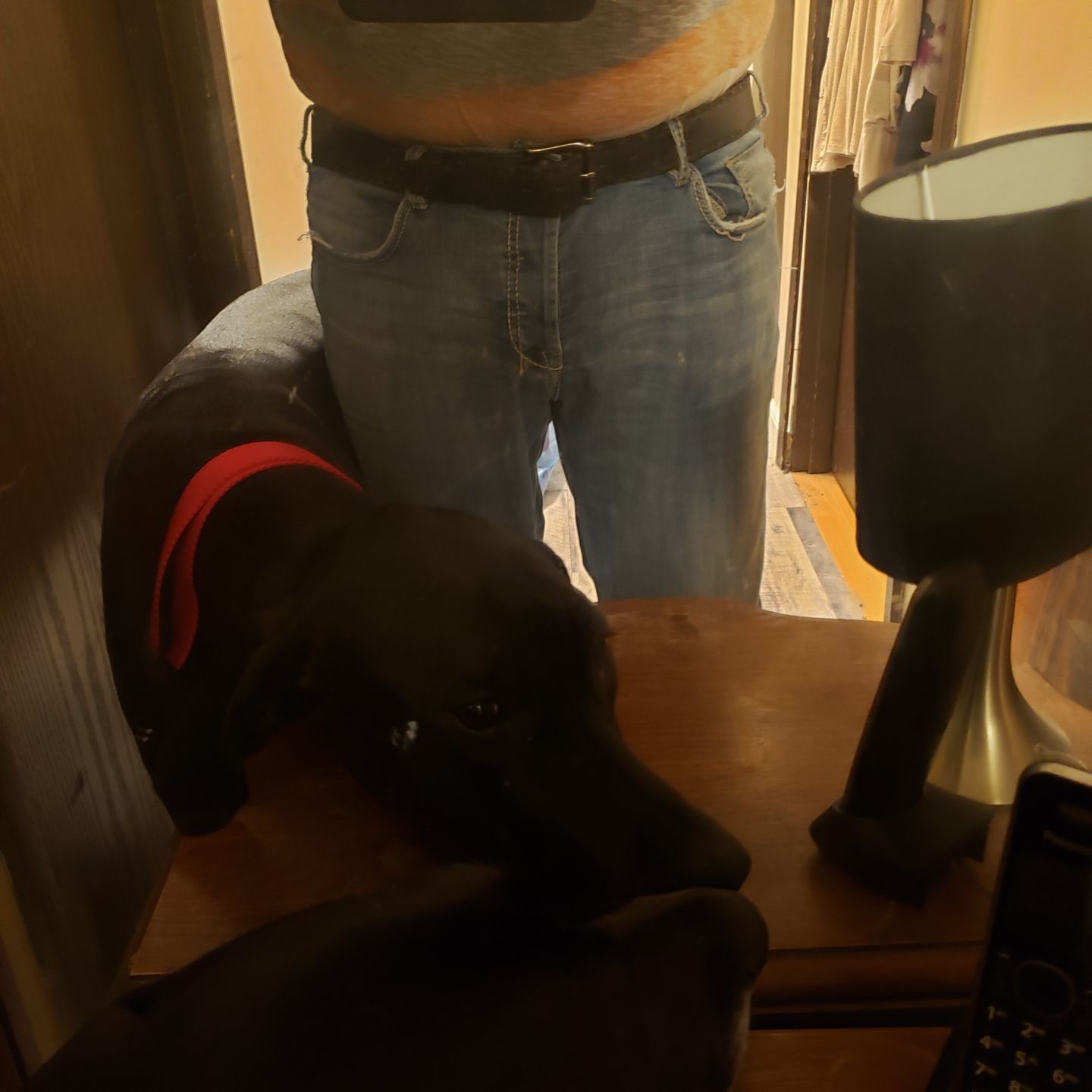 Customer photo review of The Eagle Belt- Black Embossed 100% Real Leather Belt