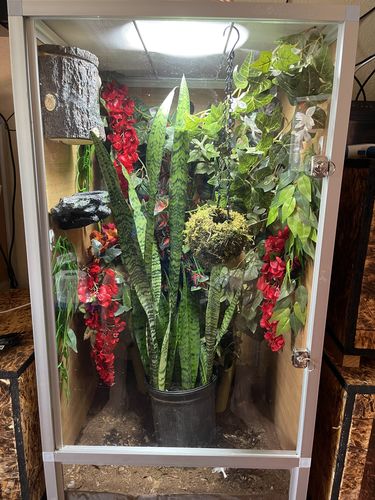 Customer photo review of 2'x2'x4' PVC Panel Reptile Enclosure by Zen Habitats